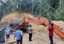 Ada 46 Penebangan dan Tambang Ilegal di Kawasan Hutan Lindung Kalsel Sepanjang 2022