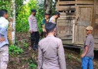 Alami Gangguan Jiwa, Pemuda Dikurung Orangtua dalam Gubuk di Tepi Hutan