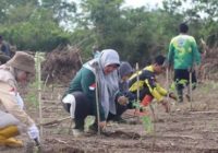 1.000 Batang Bibit Sengon Hijaukan Kantor Lapas Banjarbaru