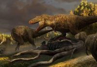 Ditemukan Spesies Baru Tyrannosaurus Diduga Merupakan Nenek Moyang T Rex