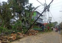 Lima Pohon Tumbang di Telaga Biru Timpa Tiang Listrik Hingga Meledak