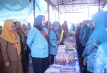 Bikin Penasaran, TPK2D Provinsi Beri Penilaian Terhadap Desa Selat Makmur