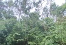 Akses dari Tanuhi ke Desa Ulang Loksado Putus