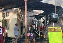 Sarang Burung Walet Terbakar di Sindang Sari Samarinda