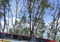 BREAKING NEWS Bus Wisata Menuju Alaska Park Terperosok di Jalan Gunung Kupang Banjarbaru