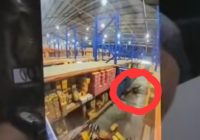 Viral Pegawai Gudang Sepatu Dikerjai Hantu Hingga Jatuh Tersungkur