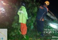 Rumah Rusak Tertimpa Pohon Tumbang Akibat Puting Beliung di Tanah Laut