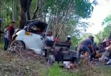 Pikap Tabrak Pohon, Penumpang Terlempar di Kintap Kabupaten Tanah Laut
