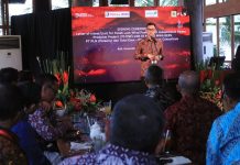 PLN Menangi Lelang Bangun PLTB Tanah Laut, Tarif Terendah Sepanjang Sejarah