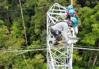 Ganti 9 Isolator Tanpa Padamkan Tegangan, PLN Terjunkan Tim Khusus