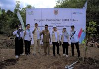 PLN dan Paman Birin Tanam 2 Ribu Bibit Pohon di Tahura