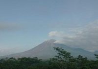 Erupsi, Gunung Semeru Muntahkan Awan Panas Sejauh 3 Kilometer