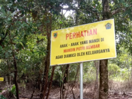 Tahura Sultan Adam Bakal Dilengkapi Glamping Kafe Hingga Area Outbond