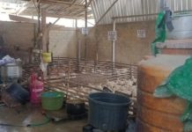 Rumah Pemotongan Ayam Simpang Empat Dapat SP3 Satpol PP Tanah Bumbu