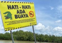 Dua Pelang 'Hati-hati Ada Buaya' Dipasang di Kampung Baru Tanah Bumbu