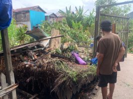 Akar Pohon Tumbang Akibatkan Lantai Gudang Bawang di Kelayan A Terdongkrak ke Atas
