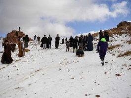 Setiap Tahun Turun Salju, Jabal Al-Lawz Tabuk Saudi Arabia Diserbu Turis