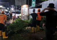 Hujan dan Angin Kencang Tumbangkan Pohon Trembesi di Halaman RS Islam Banjarmasin