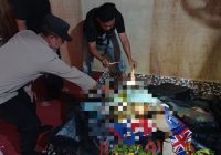 Geger! Bocah Laki-Laki Ditemukan Sudah Jadi Tulang di Kuin Utara Banjarmasin