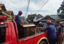 Kaki Raisha Terluka Akibat Digigit Monyet Mengamuk di Murung Keraton Martapura
