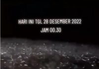 Banyak Ikan Kompak Loncat-loncat dari Dalam Air Tengah Malam di Laut Jawa, Ada Apa?