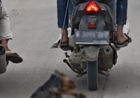 Viral Dua Pria Seret Anjing Menggunakan Motor, Polisi Ungkap Fakta Ini