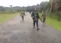 Sukses Kalahkan TNI, KKB Malah Kocar-kacir Diusir Warga hanya Pakai Busur dan Panah