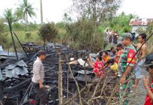 Kebakaran di Tinggiran Batola Tenyata Disengaja Oleh Seorang Pria, Ini Pemicunya