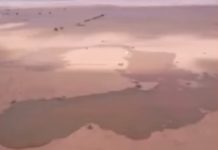 Setelah Viral Pegunungan Menghijau, Kini Geger Munculnya Danau di Gurun Arab Saudi