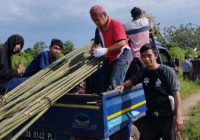 Sejak Jumat Warga Keramat Martapura Bersih-bersih Desa Sambut Haul Ke-18 Abah Guru Sekumpul