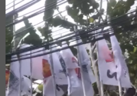 Ada Apa ya, Nasdem Akan Sambangi Sekber Gerindra-PKB