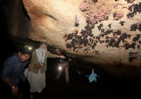 Gua Liang Bangkai di Desa Dukuh Rejo Tanah Bumbu, Bagian Situs Geopark Meratus