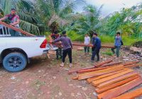 Empat Wilayah Kalsel Alami Kerusakan Hutan