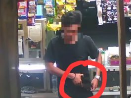 Heboh Pencuri Hape di Paringin Balangan Terekam CCTV