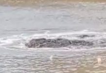 Viral Semburan di Sungai Barito Buat Warga Geger