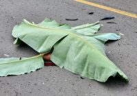 Laka Maut R2 vs R4 di Kambang Kuning Tabalong, Dura Meregang Nyawa