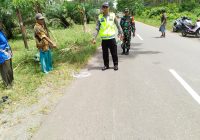 Pengemudi Mobil CRV Seruduk Empat Murid SD Merupakan Anggota BNNK Tanah Laut