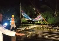 Ditimpa Pohon Tumbang, Tiang Listrik Utama Bertegangan Tinggi di Paringin Roboh ke Jalan