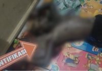 Pria Asal Jatim Ditemukan Membusuk Dalam Barak Jalan Lumba-lumba II Palangka