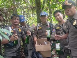 Satpol PP dan Damkar Tala Temukan Puluhan Botol Miras di Semak Belakang Rumah di Pandansari Kintap