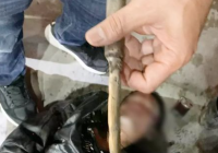 Pria Mabuk Bawa Sajam di Jalan Kebun Karet Loktabat Dibekuk Polsek Banjarbaru Utara