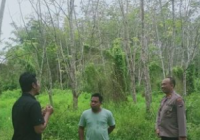 Orangtua Gadis Kesurupan di Atas Pohon yang Videonya Viral Ungkap Fakta Ini