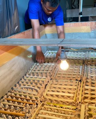 Warga Binaan Lapas Kelas IIB Banjarbaru Budidaya Jangkrik