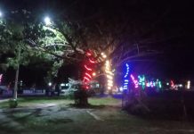 Lampu Hias Percantik RTH Lapangan 7 Februari Pagatan Pada Malam Hari