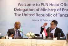 Pemerintah Tanzania Ajak PLN Bangun Kelistrikan di Afrika Timur