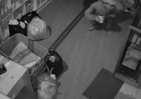 Pencuri di Toko Laundry Sungai Tabuk Kabupaten Banjar Terekam CCTV