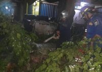 Pohon Tumbang di Jalan Angsana Martapura