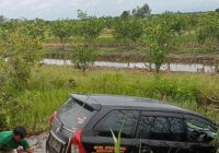 Melintas di Tikungan Habaya, Mobil Avanza Tercebur ke Persawahan Rantau Badauh Batola