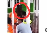 Viral Orang Utan Ikut Salat Jumat di Kaltim