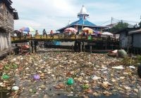 Pemprov Kalsel Akui Sungai Martapura Tercemar E-coli, Apa Itu E-coli?
